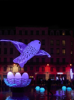 fetes lumieres lyon 2017 photo 010