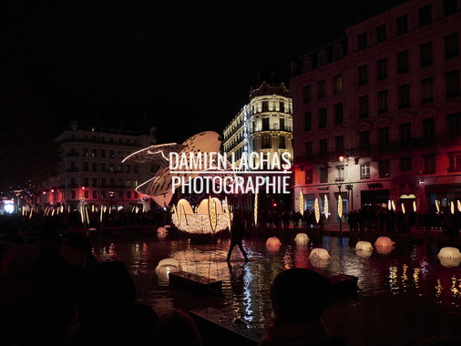 fetes lumieres lyon 2017 photo 011