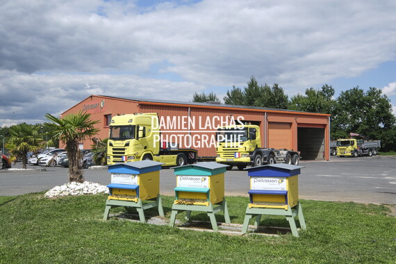 cci sept2025 abeille-en-beaujolais 001