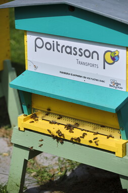 cci sept2025 abeille-en-beaujolais 003