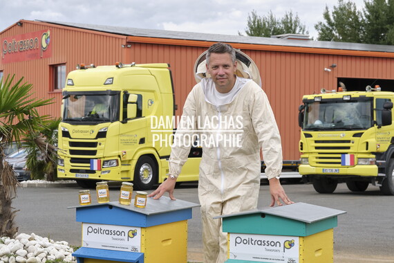 cci sept2025 abeille-en-beaujolais 004