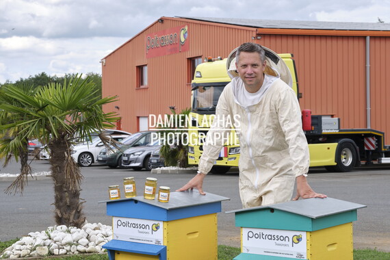 cci sept2025 abeille-en-beaujolais 005