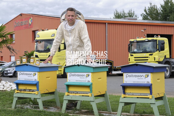 cci sept2025 abeille-en-beaujolais 007