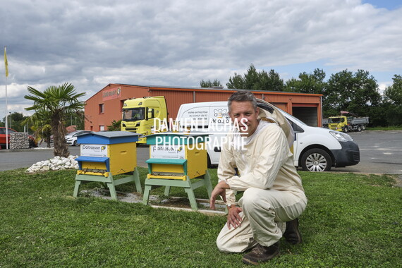 cci sept2025 abeille-en-beaujolais 009