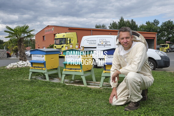 cci sept2025 abeille-en-beaujolais 010