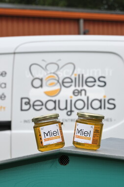 cci sept2025 abeille-en-beaujolais 015