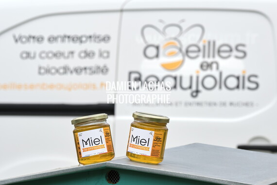 cci sept2025 abeille-en-beaujolais 016