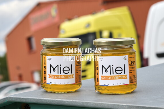 cci sept2025 abeille-en-beaujolais 017