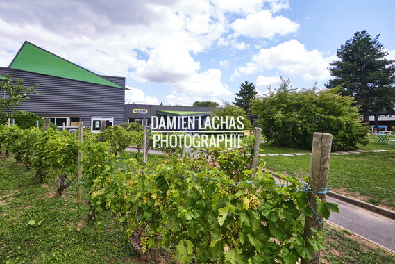 cci sept2025 hozelock-exel 008