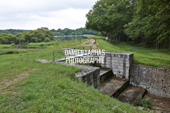 dt bourgogne centre juillet2014 puisaye bourdon 040
