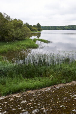 dt bourgogne centre juillet2014 puisaye bourdon 041