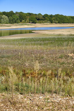 vnf dtcb barrage reservoir bourdon photo 004