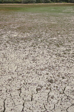 vnf dtcb barrage reservoir cercey photo 021