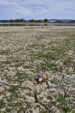 vnf dtcb barrage reservoir cercey photo 023