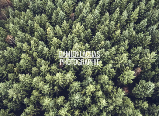 bassin champagney drone photos paysage 001