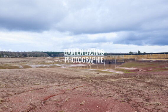 vnf bassin champagney 018