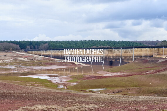 vnf bassin champagney 019