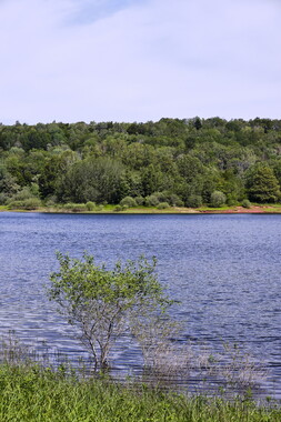 vnf dts barrage reservoir champagney 008