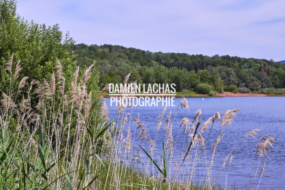 vnf dts barrage reservoir champagney 010