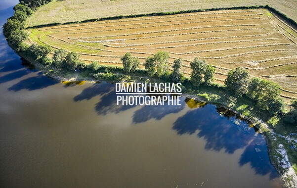 vnf dtcb etang bondilly photo aerien 011