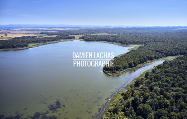 vnf dts barrage reservoir gondrexange photo aerien 042