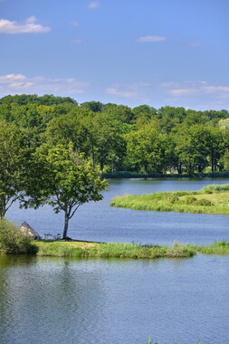 vnf dtcb etang montchanin photo 003