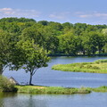 vnf dtcb etang montchanin photo 003