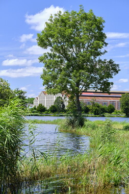 vnf dtcb etang montchanin photo 005