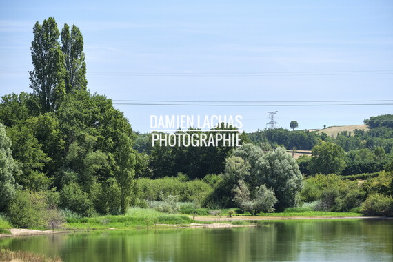vnf dtcb etang berthaud 015