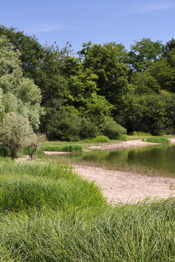 vnf dtcb etang berthaud 017