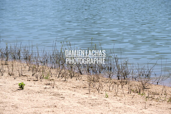 vnf dtcb etang berthaud 018