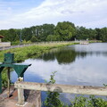 vnf dtcb etang motte 006