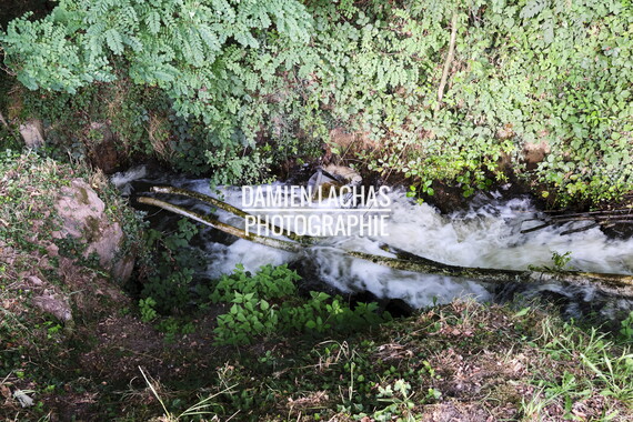vnf dtcb etang motte 010