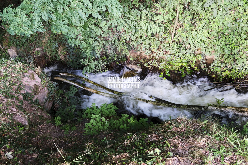 vnf_dtcb_etang_motte_010.jpg