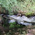 vnf dtcb etang motte 010