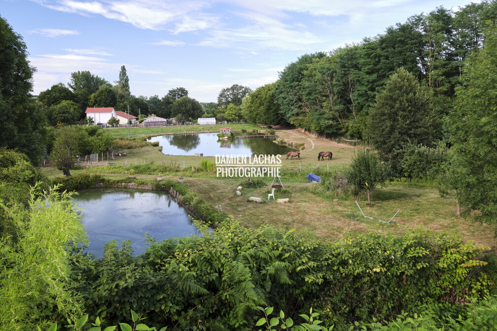vnf_dtcb_etang_motte_012.jpg