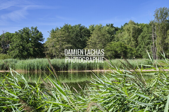 vnf dtcb etang muette 005