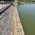 vnf dtcb lac plessis photo 001