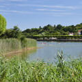 vnf dtcb lac plessis photo 016
