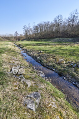 vnf dtcb canal centre etang montaubry 013