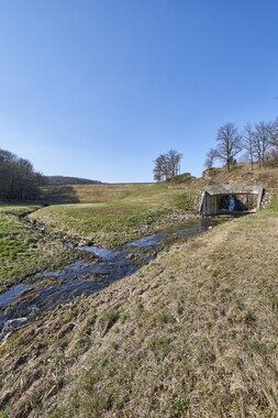 vnf dtcb canal centre etang montaubry 019