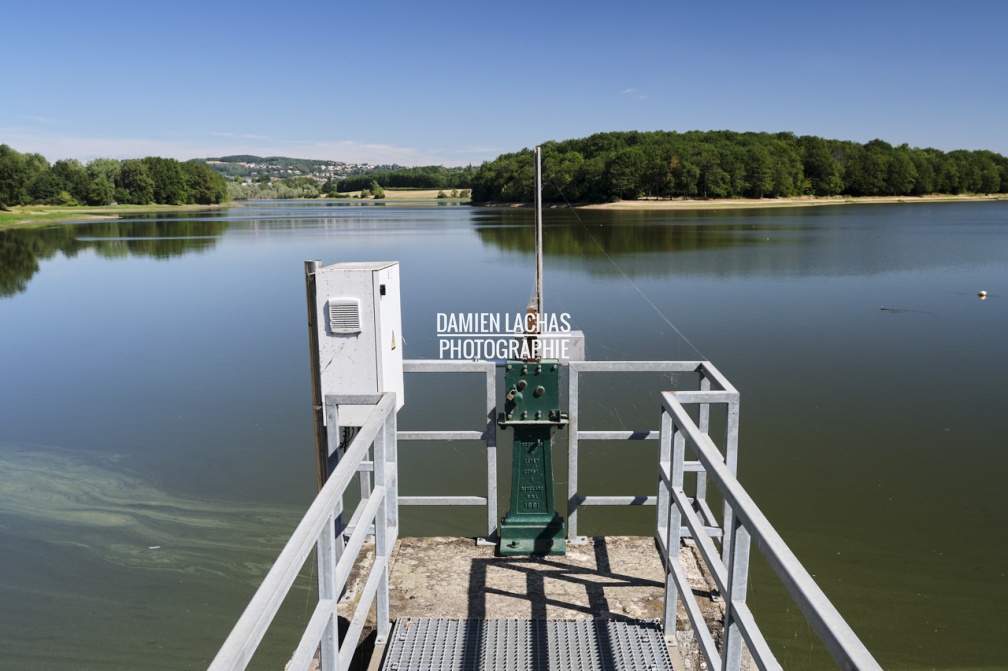 vnf_dtcb_etang_torcy-vieux_photo_021.jpg