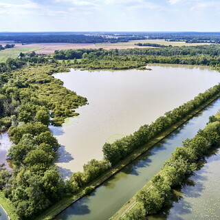 Etang de la Baudinière