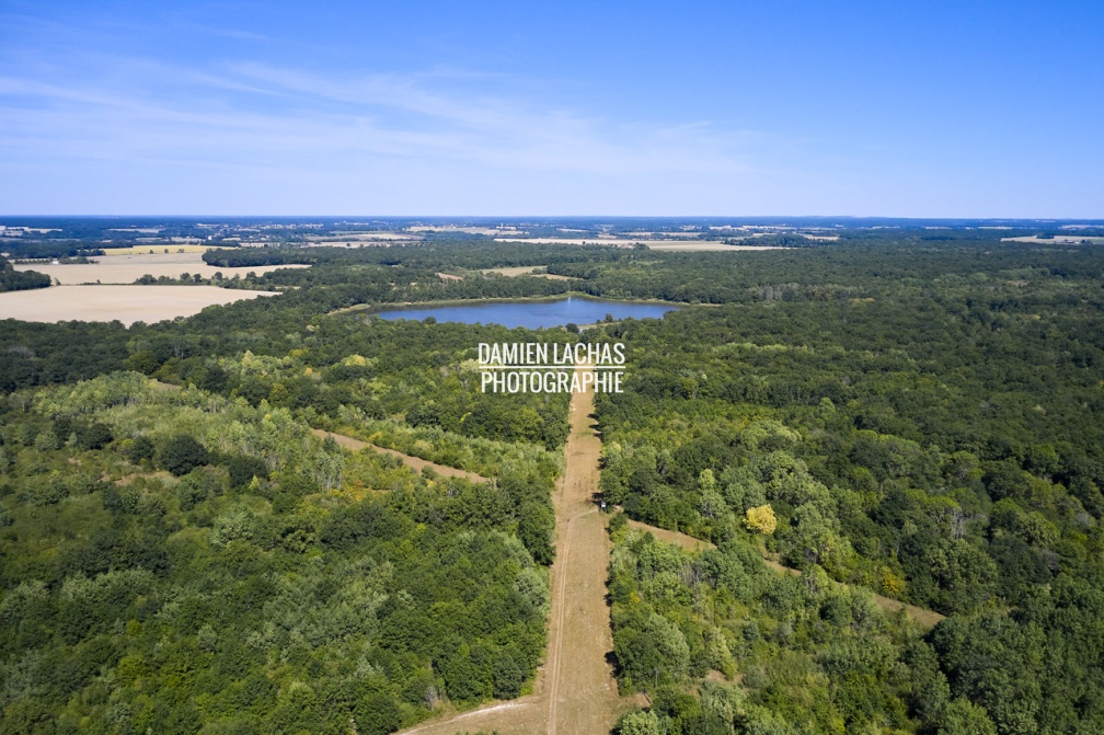 vnf_dtcb_etang_beaurois_001.jpg