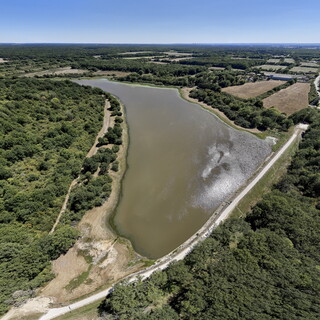Etang de la Cahauderie