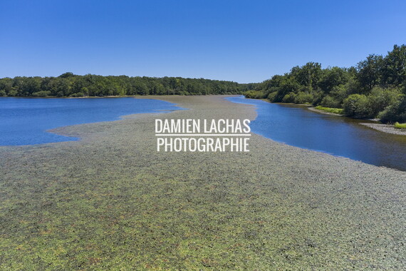 vnf dtcb etang chateau photo aerien 006