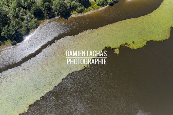 vnf dtcb etang chateau photo aerien 013