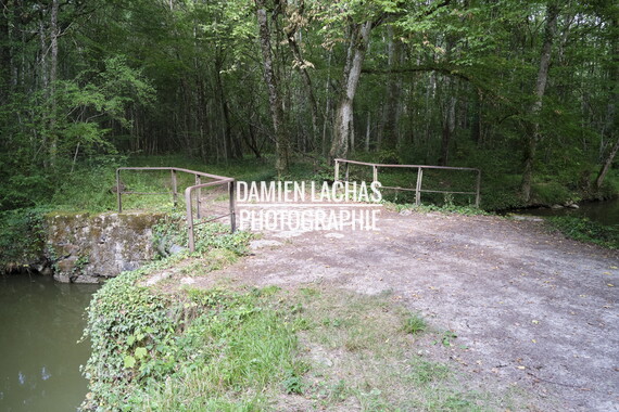 vnf dtcb etang chesnoy photo 004