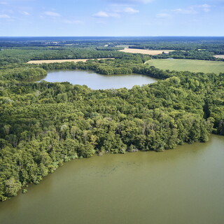 Etang du Chesnoy