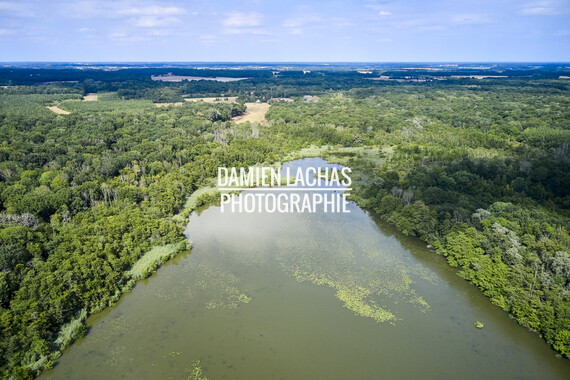 vnf dtcb etang gazonne photo aerien 003